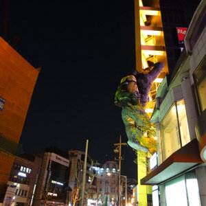 대전에서 밍구 사진 찍은거 중에서...